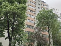 Lacul Tei, Teiul Doamnei vav Parc Tei