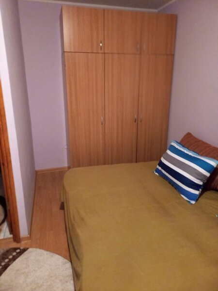 Lacul Tei, Teiul Doamnei vav Parc Tei,