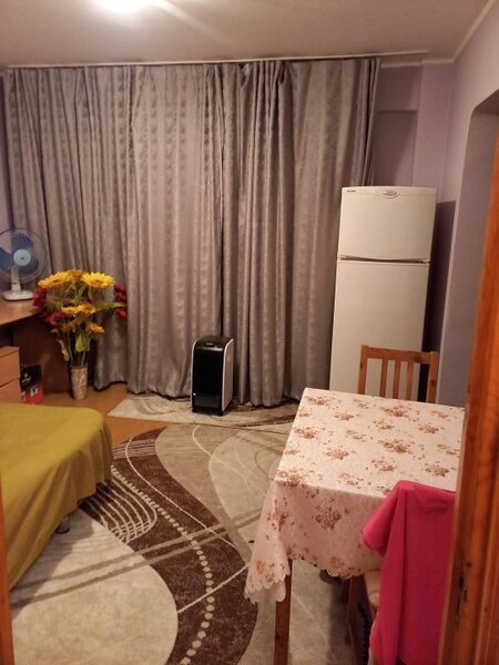 Lacul Tei, Teiul Doamnei vav Parc Tei,