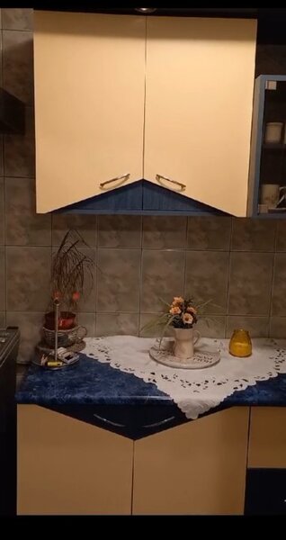 Lacul Tei, Teiul Doamnei vav Parc Tei,