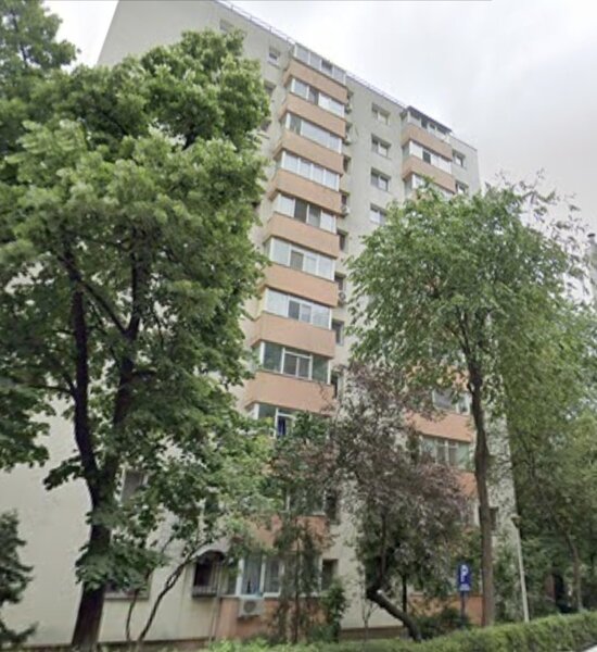 Lacul Tei, Teiul Doamnei vav Parc Tei,