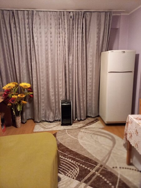 Lacul Tei, Teiul Doamnei vav Parc Tei,