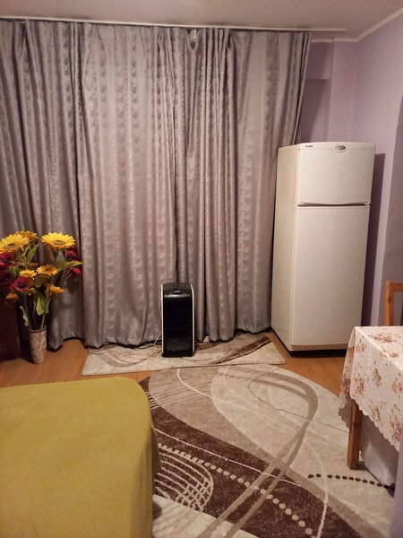 Lacul Tei, Teiul Doamnei vav Parc Tei,