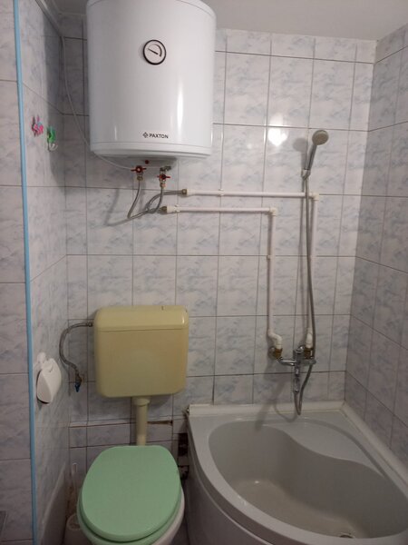 Lacul Tei, Teiul Doamnei vav Parc Tei,