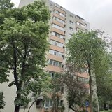 Lacul Tei, Teiul Doamnei vav Parc Tei